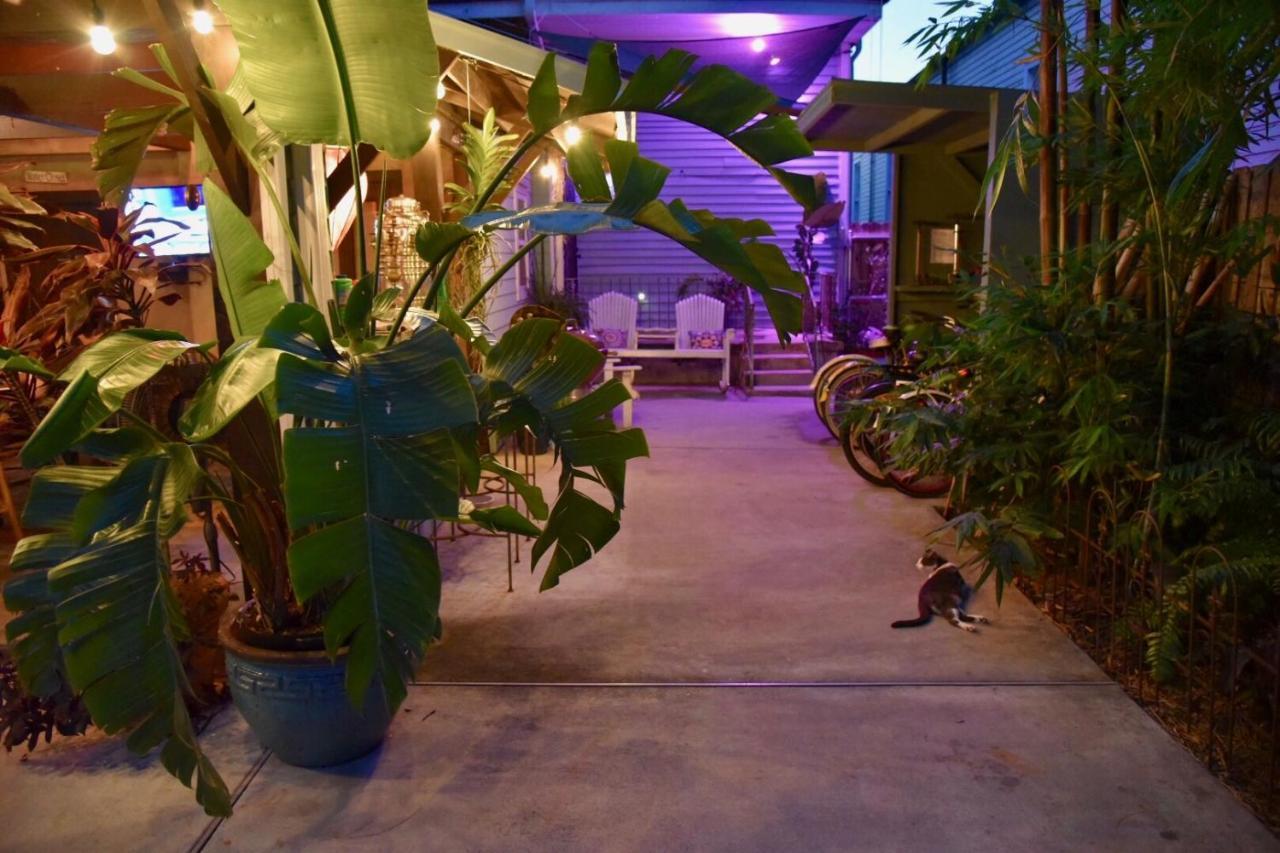 The Dragonfly Treme Guest House New Orleans Esterno foto