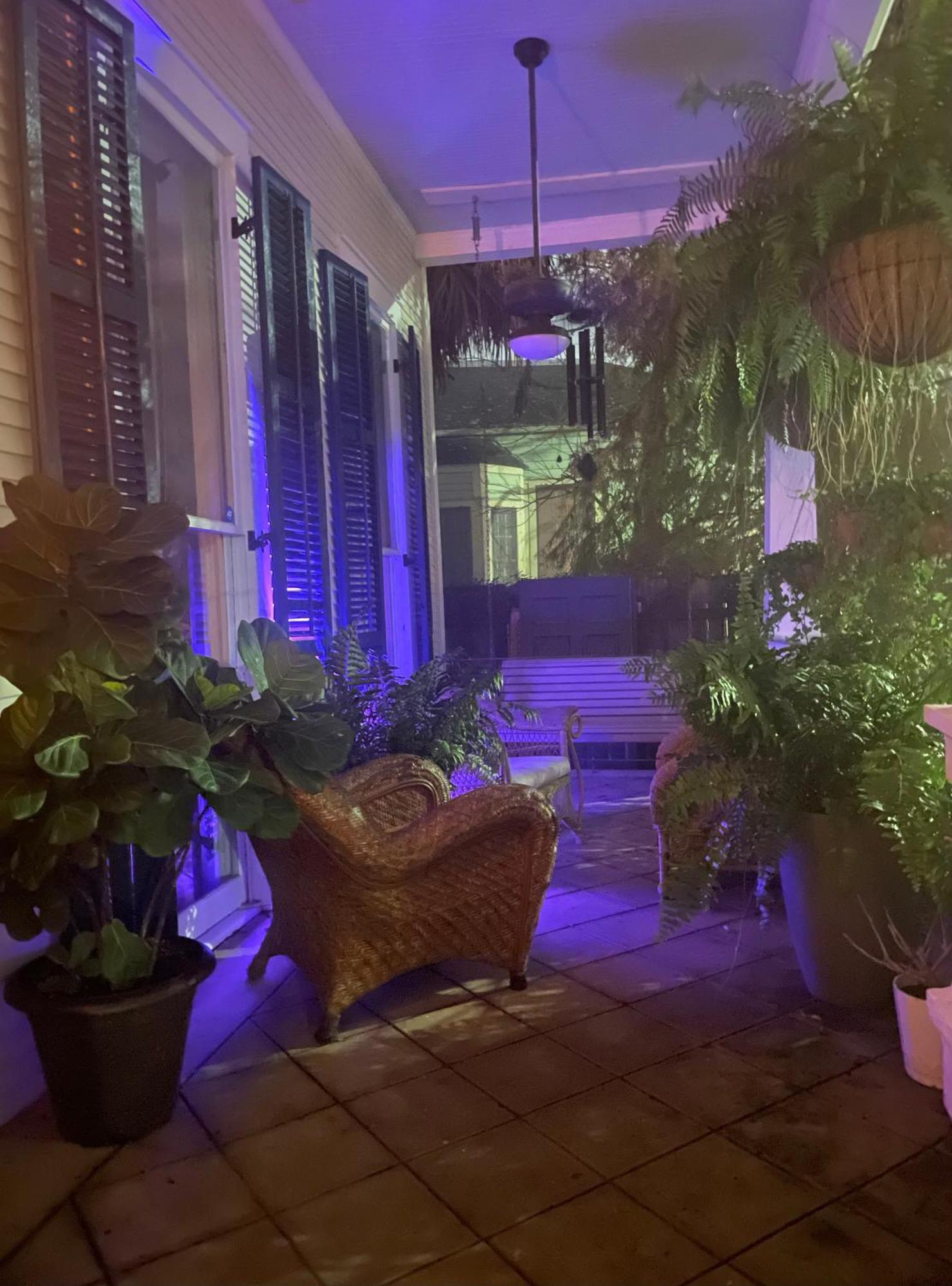 The Dragonfly Treme Guest House New Orleans Esterno foto