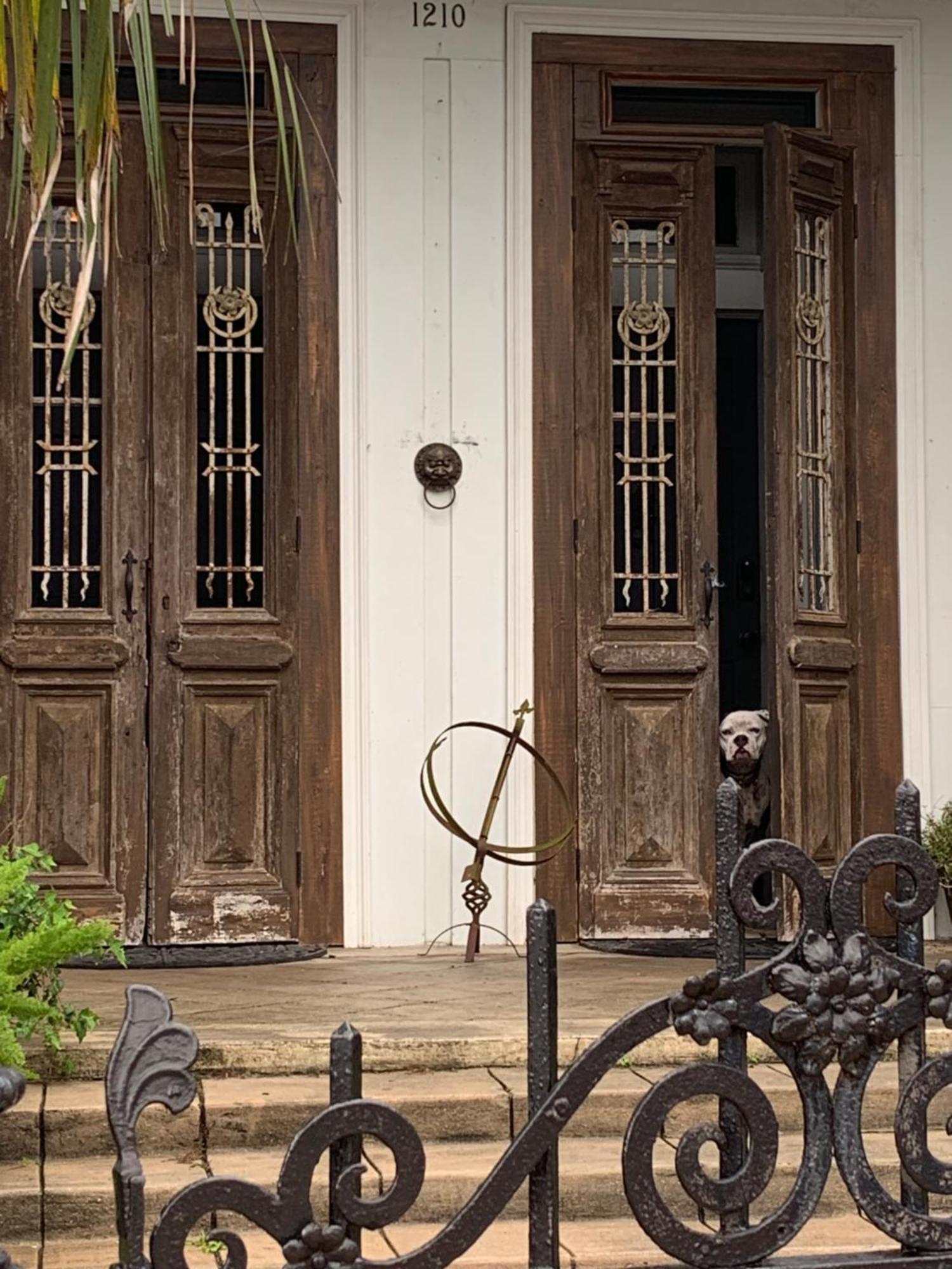 The Dragonfly Treme Guest House New Orleans Esterno foto