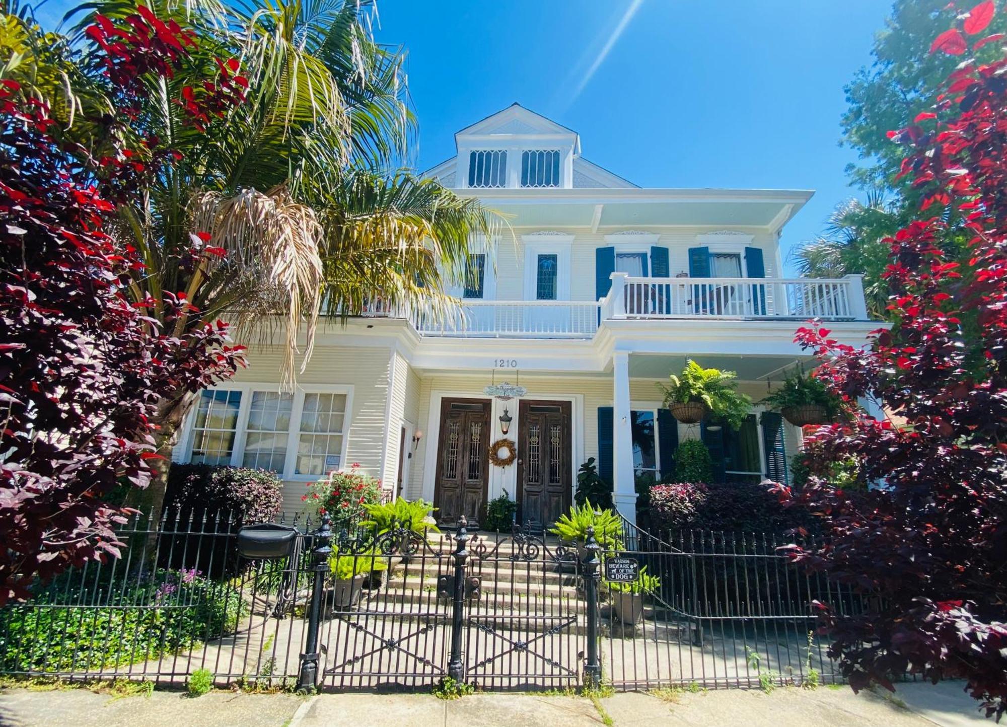The Dragonfly Treme Guest House New Orleans Esterno foto