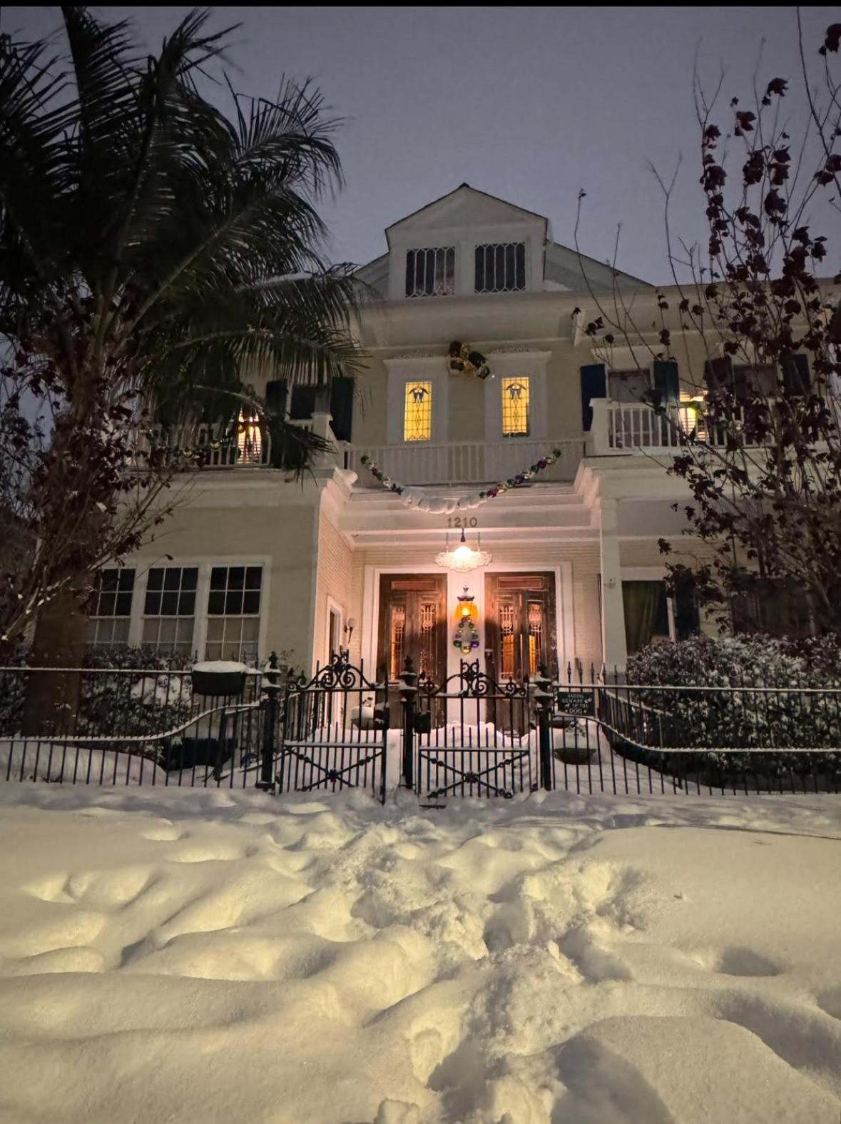 The Dragonfly Treme Guest House New Orleans Esterno foto